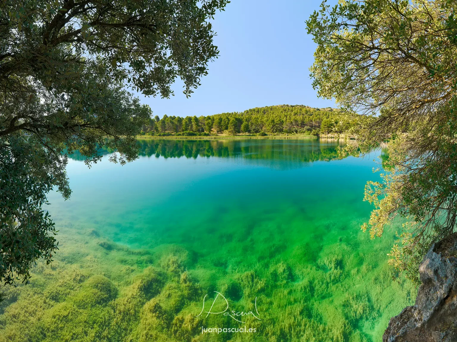fotografo-humedales-malaga