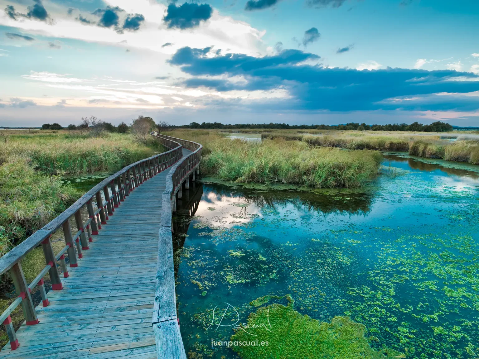 fotografo-naturaleza-parques-la-mancha