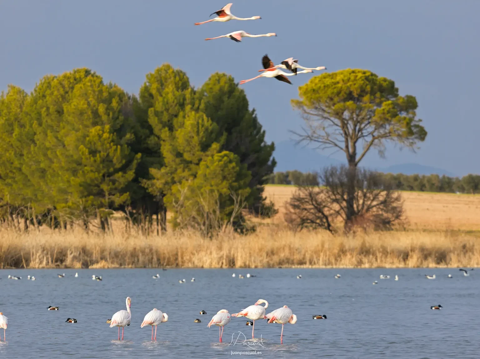 photographer-nature-malaga